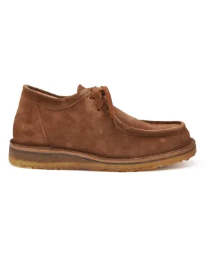 Astorflex Beenflex Wallabee Shoe in Brown Suede