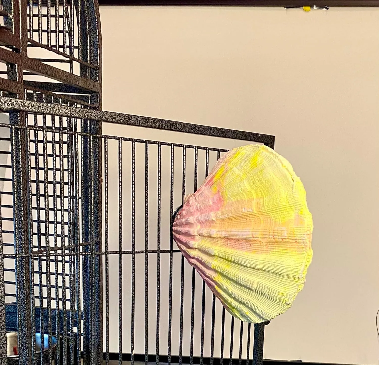 Comfy Clam - Large