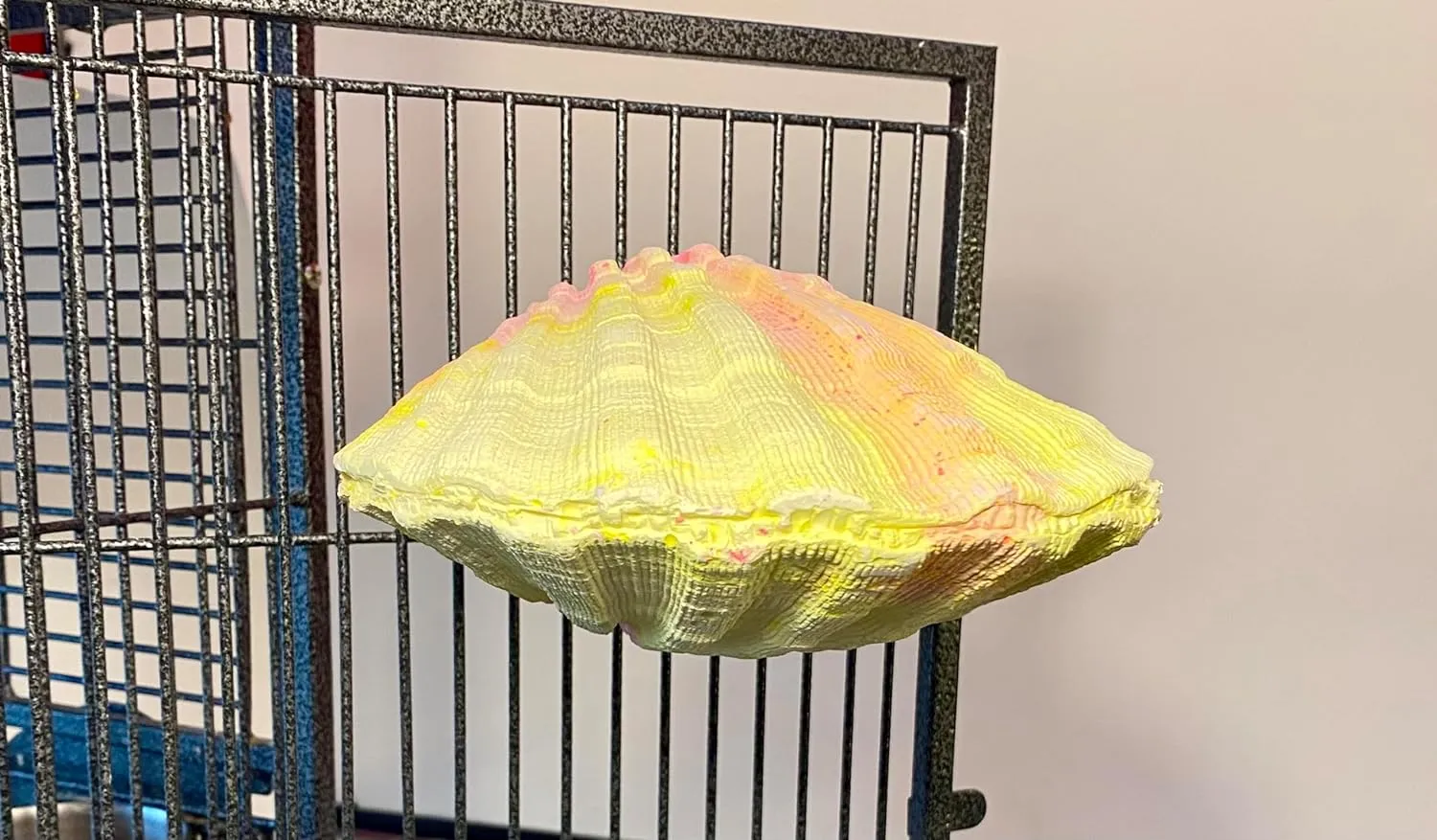Comfy Clam - Large
