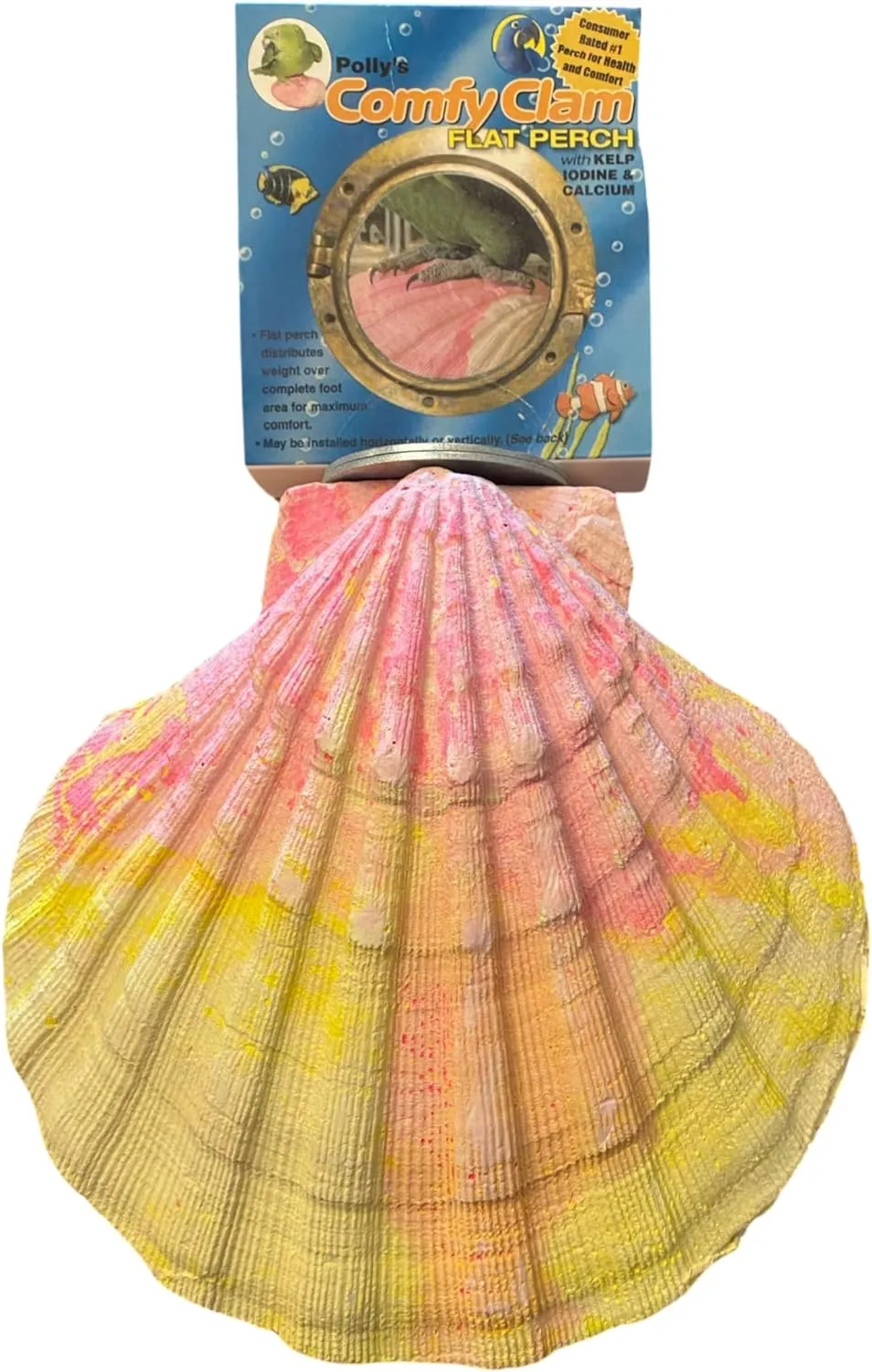 Comfy Clam - Large