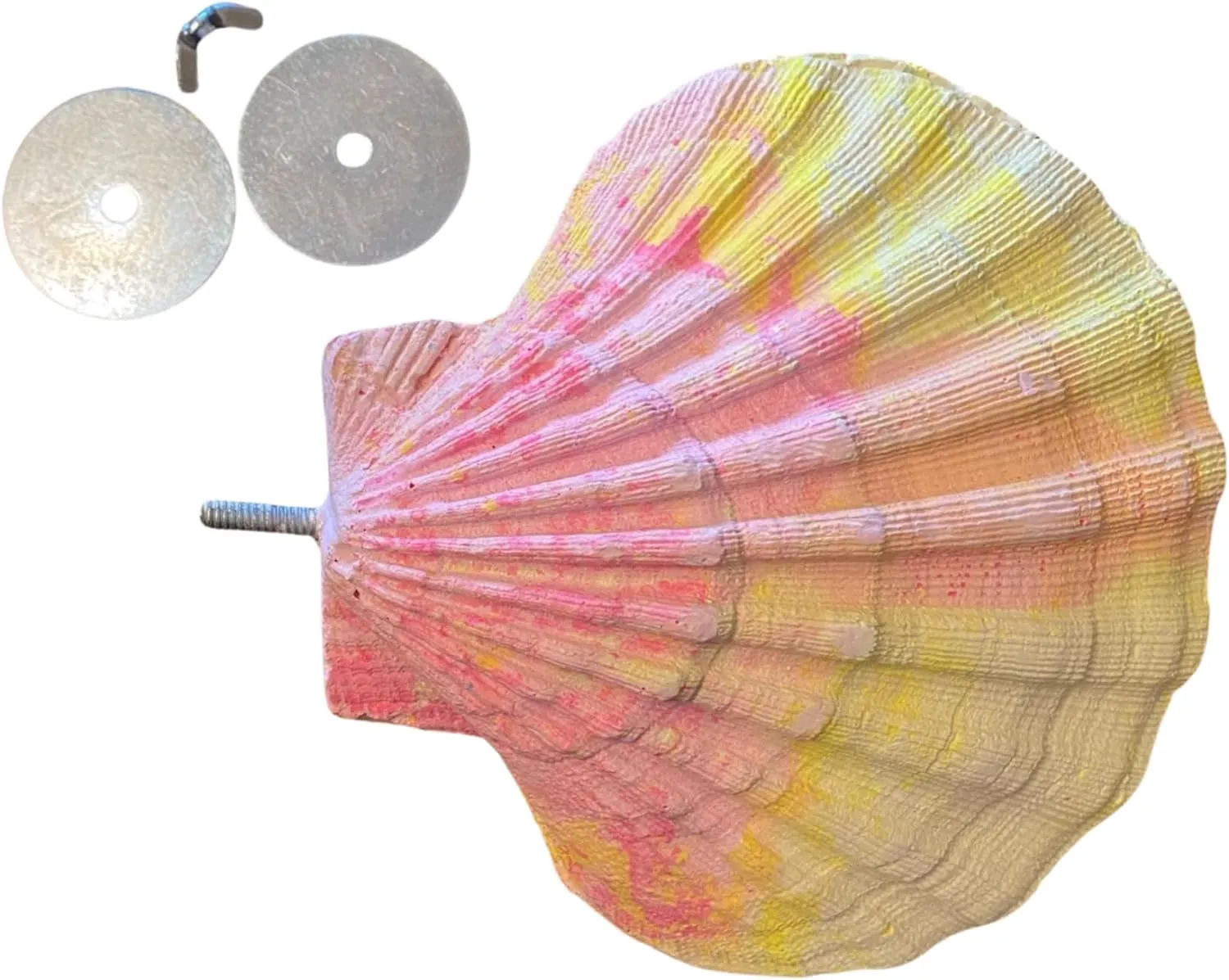 Comfy Clam - Large