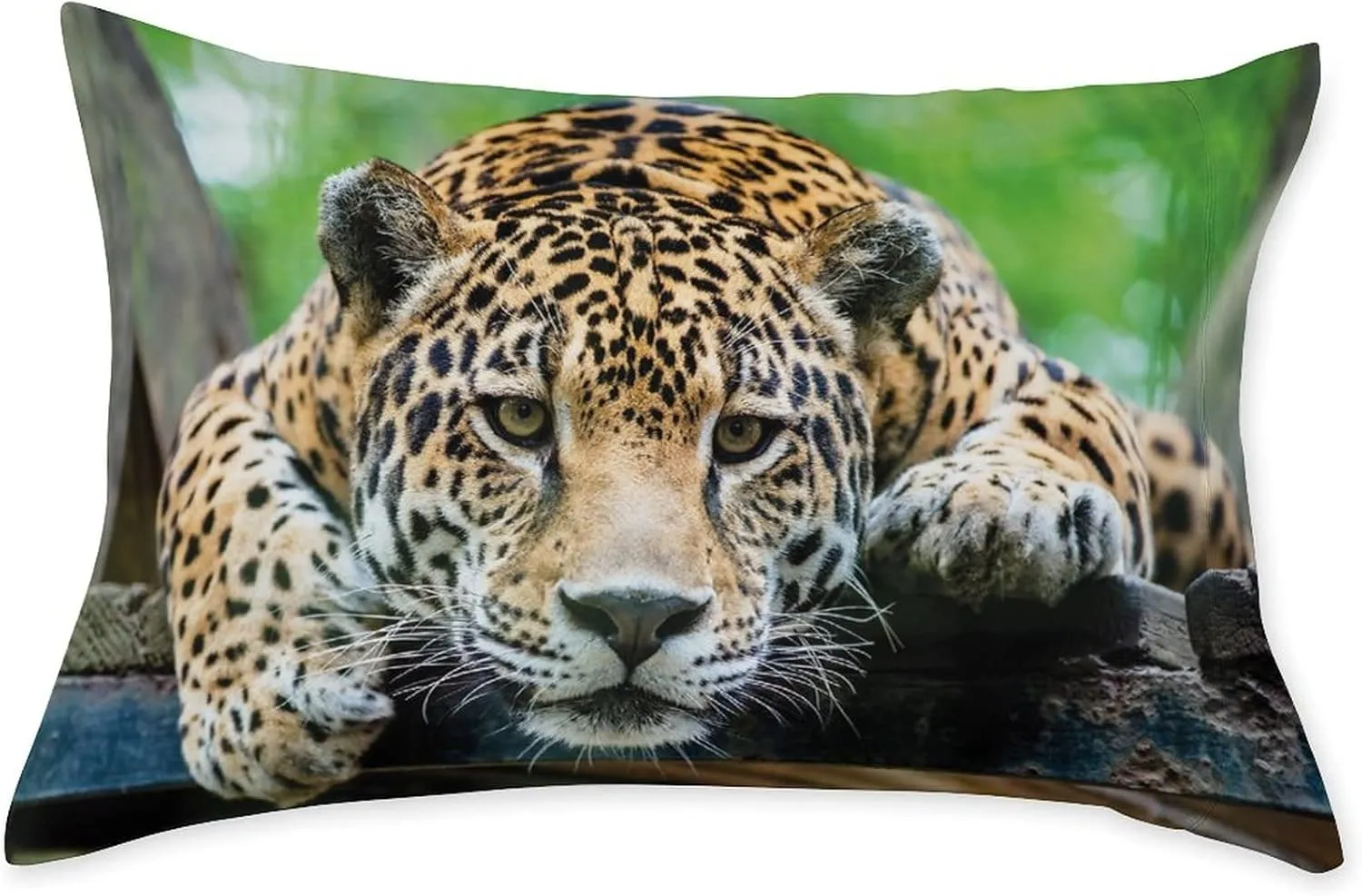 Decorative Bedding Sheet Set Cal-King Size, Jungle Deep Pockets Fitted Sheet & 2 Pillow Sham Set(No Flat Sheet), South American Jaguar Print Microfiber 3pc Bed Sheets Set, for Women & Men Bedding