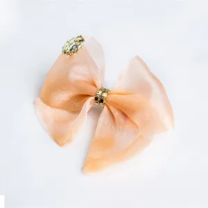 Fancy Sequin Hairclip