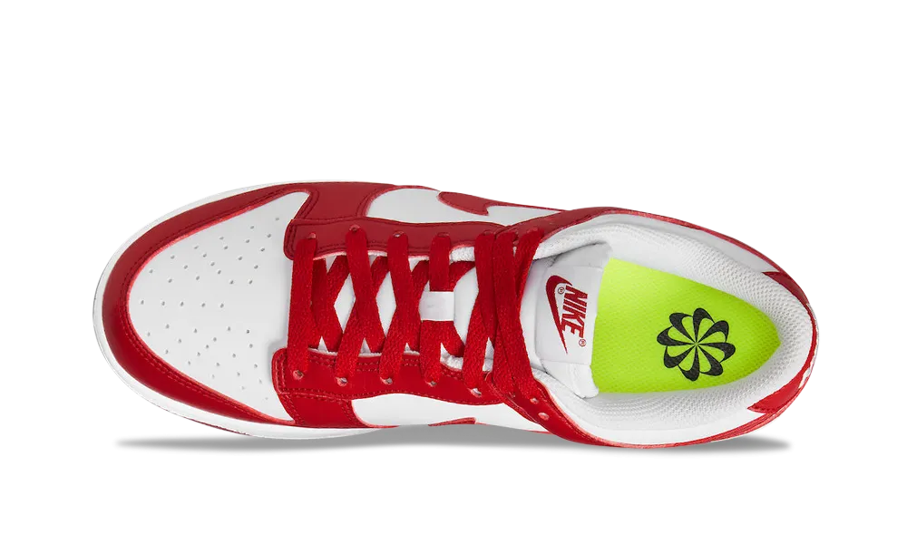 Nike Dunk Low Next Nature Gym Red