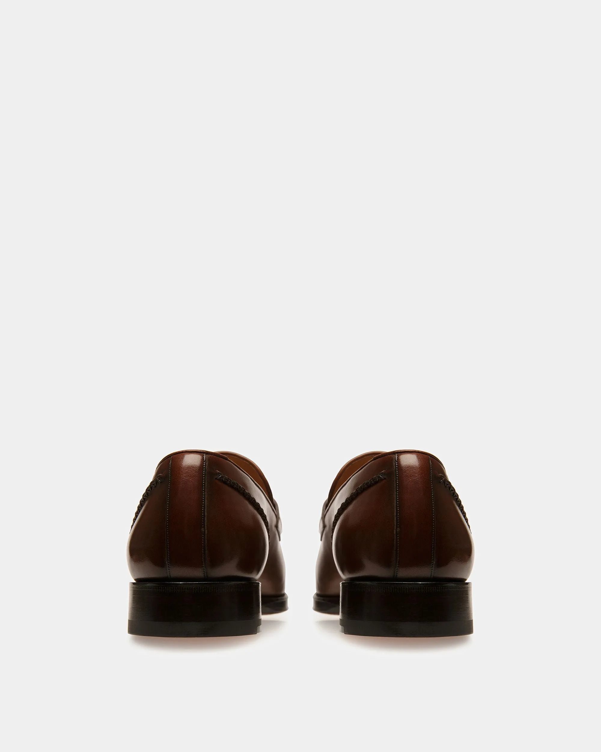 Skenny Leather Loafers In Brown