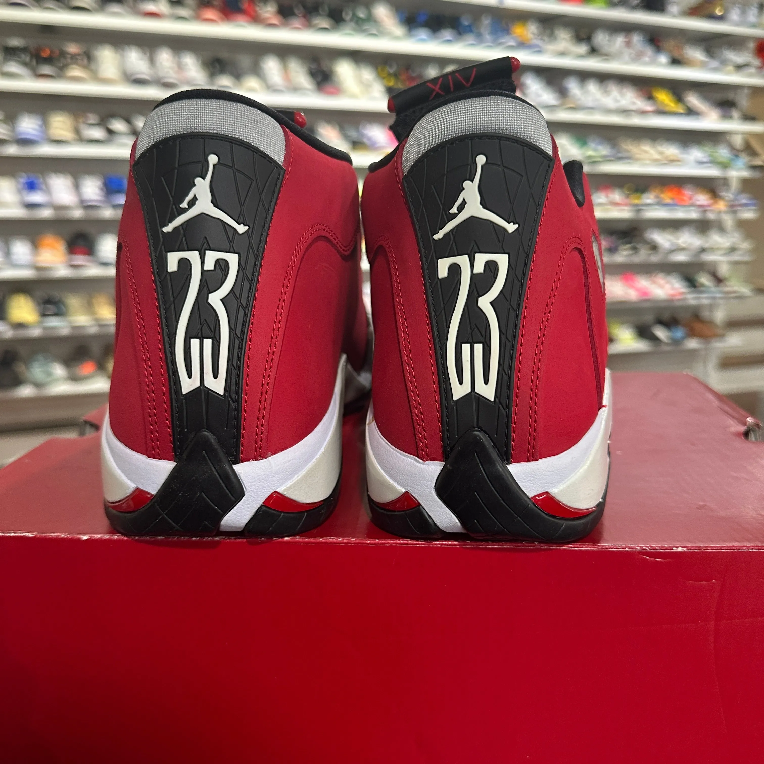 *USED* Jordan 14 Gym Red Toro (Size 11)