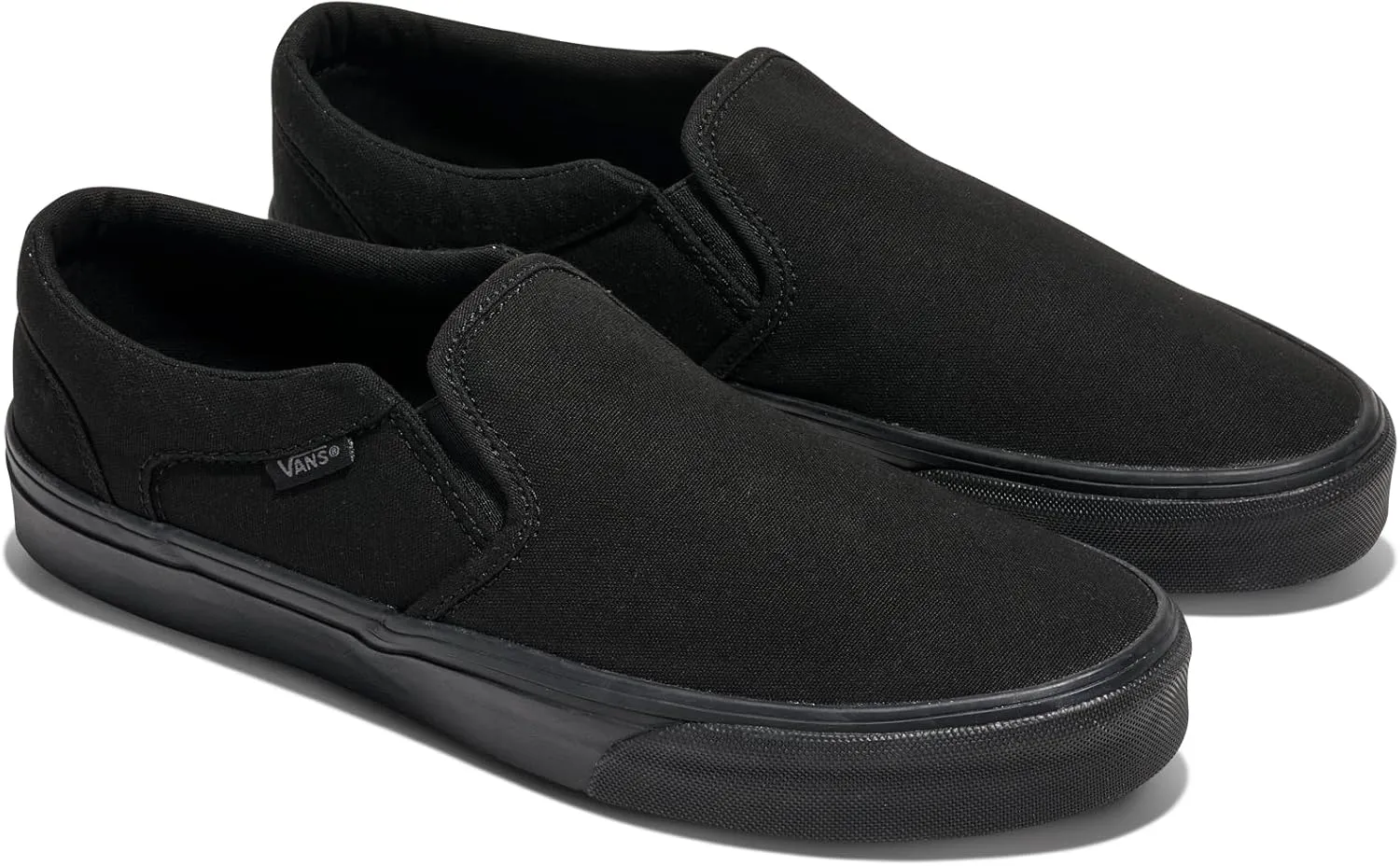 Vans Men's Asher Slip-On Shoe
