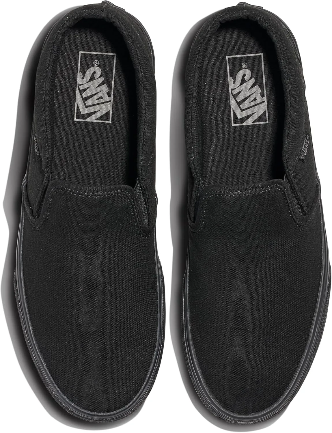 Vans Men's Asher Slip-On Shoe