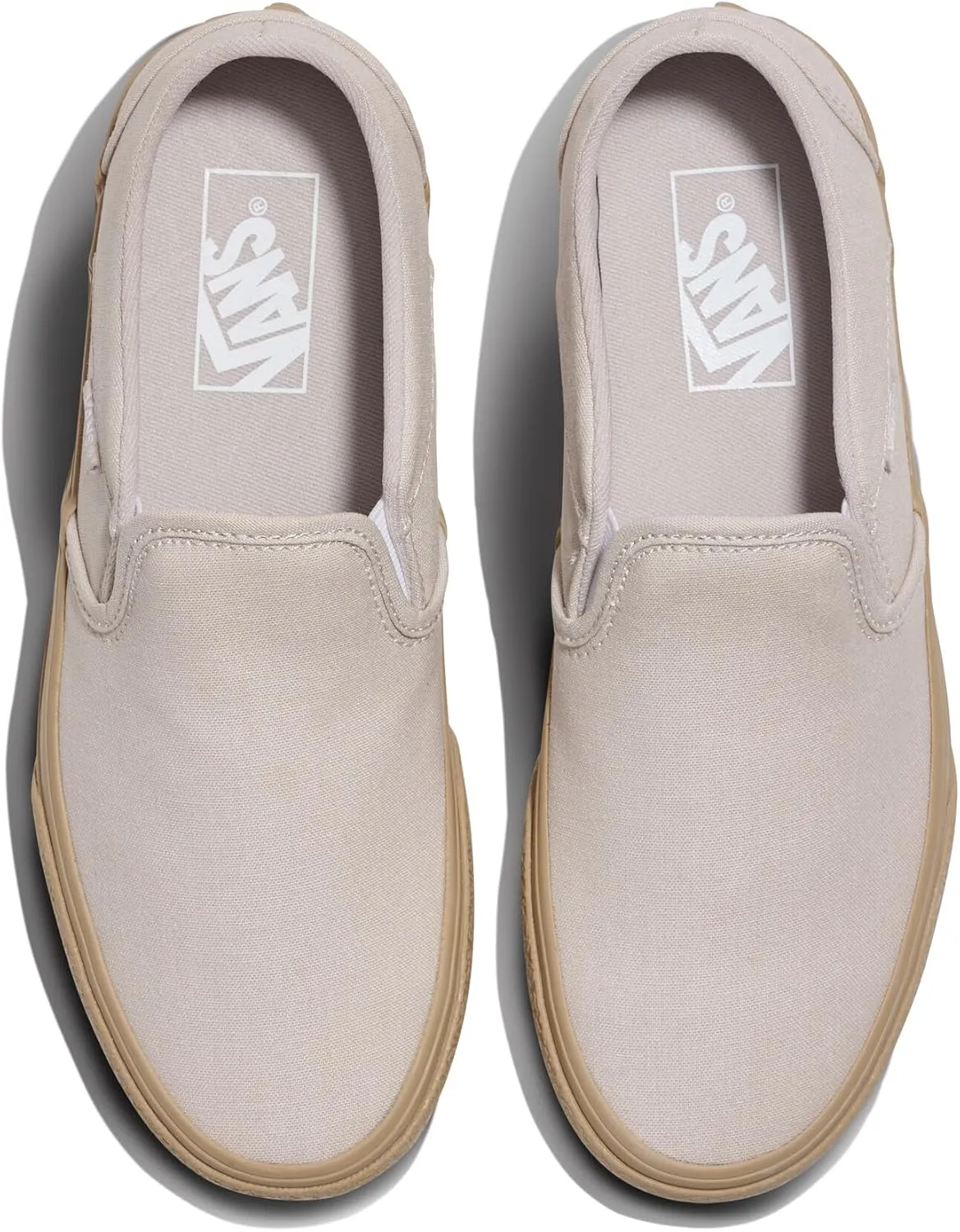 Vans Women's Asher Slip-On Shoe
