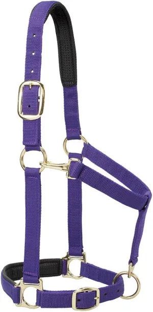 Weaver Leather Padded Adjustable Chin and Throat Snap Halter, 1" Average Horse or Yearling Draft, Solid Purple